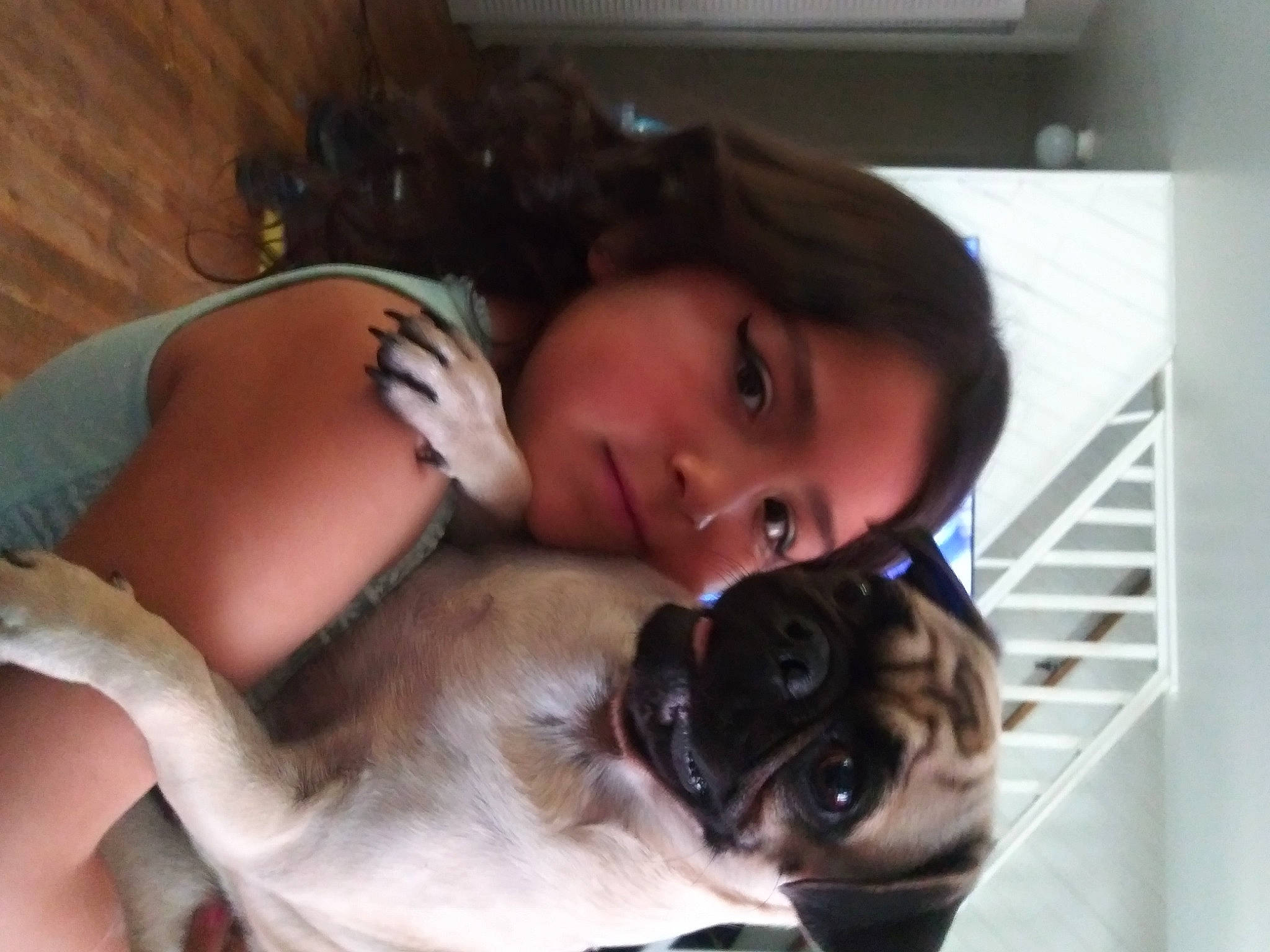 Chole joined the competition — help win amazing prizes! bullmastiff, canidae, carnivore, companion_dog, dog, dog_breed, fawn, non_sporting_group, puppy, puppy_love, snout, sporting_group