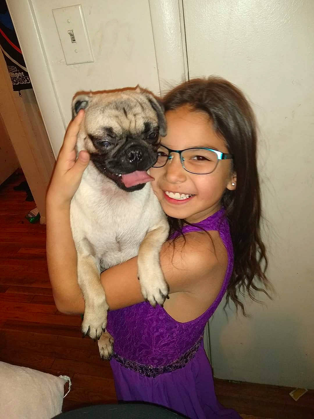 Chole joined the competition — help win amazing prizes! bullmastiff, canidae, carnivore, companion_dog, dog, dog_breed, fawn, mammal, pug, puppy, puppy_love, skin, snout, toy_dog, vertebrate