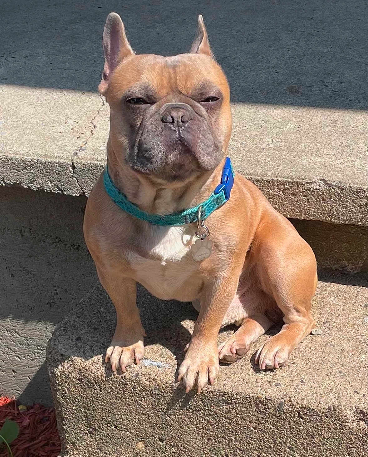 Murdock
