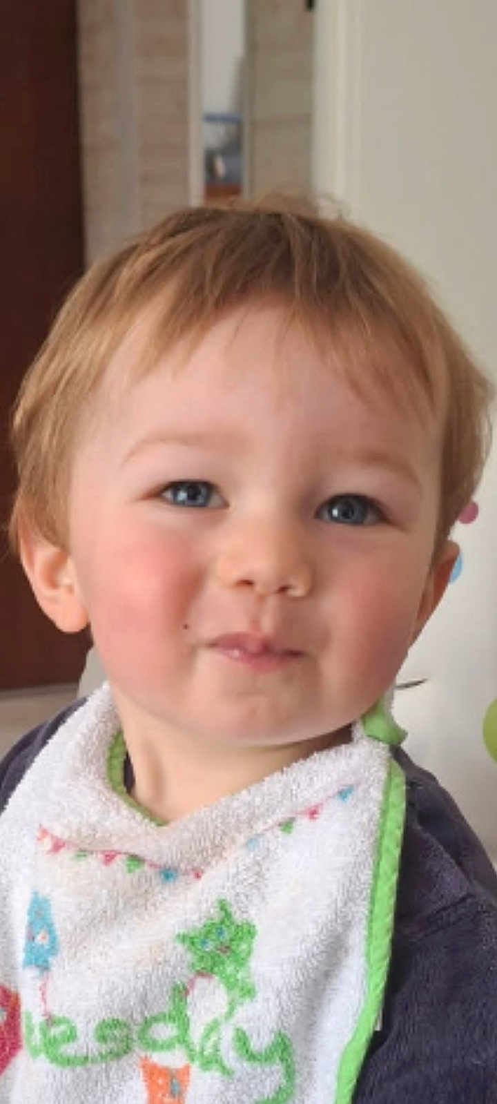 Theo participe au concours pour gagner de l'argent avec cette photo : toddler, child, baby, face, blue_eyes, rosy_cheeks, bib, clothing, indoor, portrait, smile, person, cute, young_child, hair, eyebrows, skin, expression, head, closeup