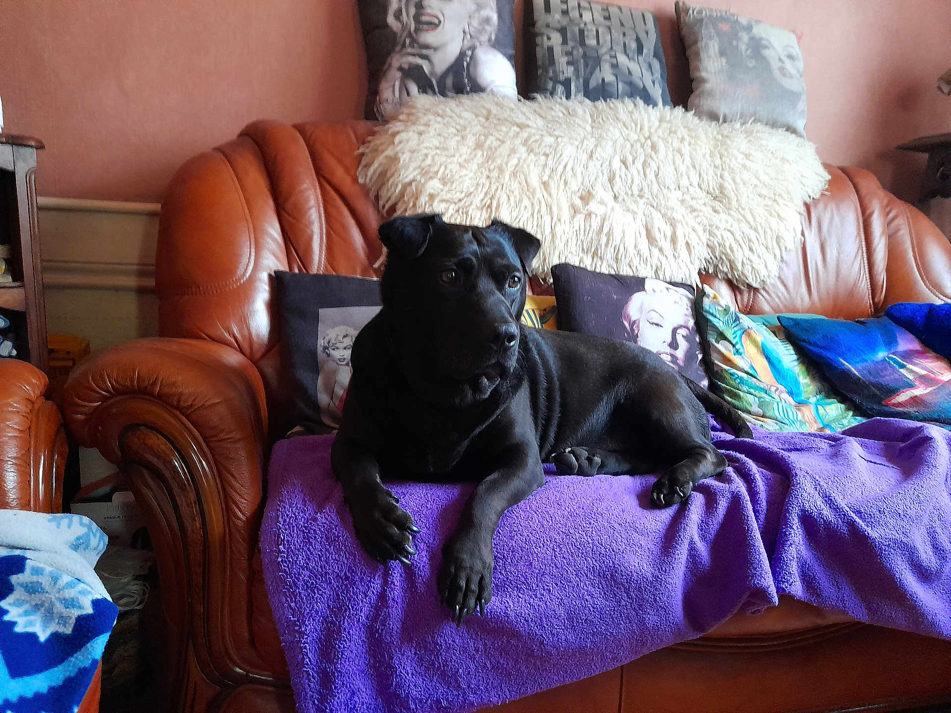 Max