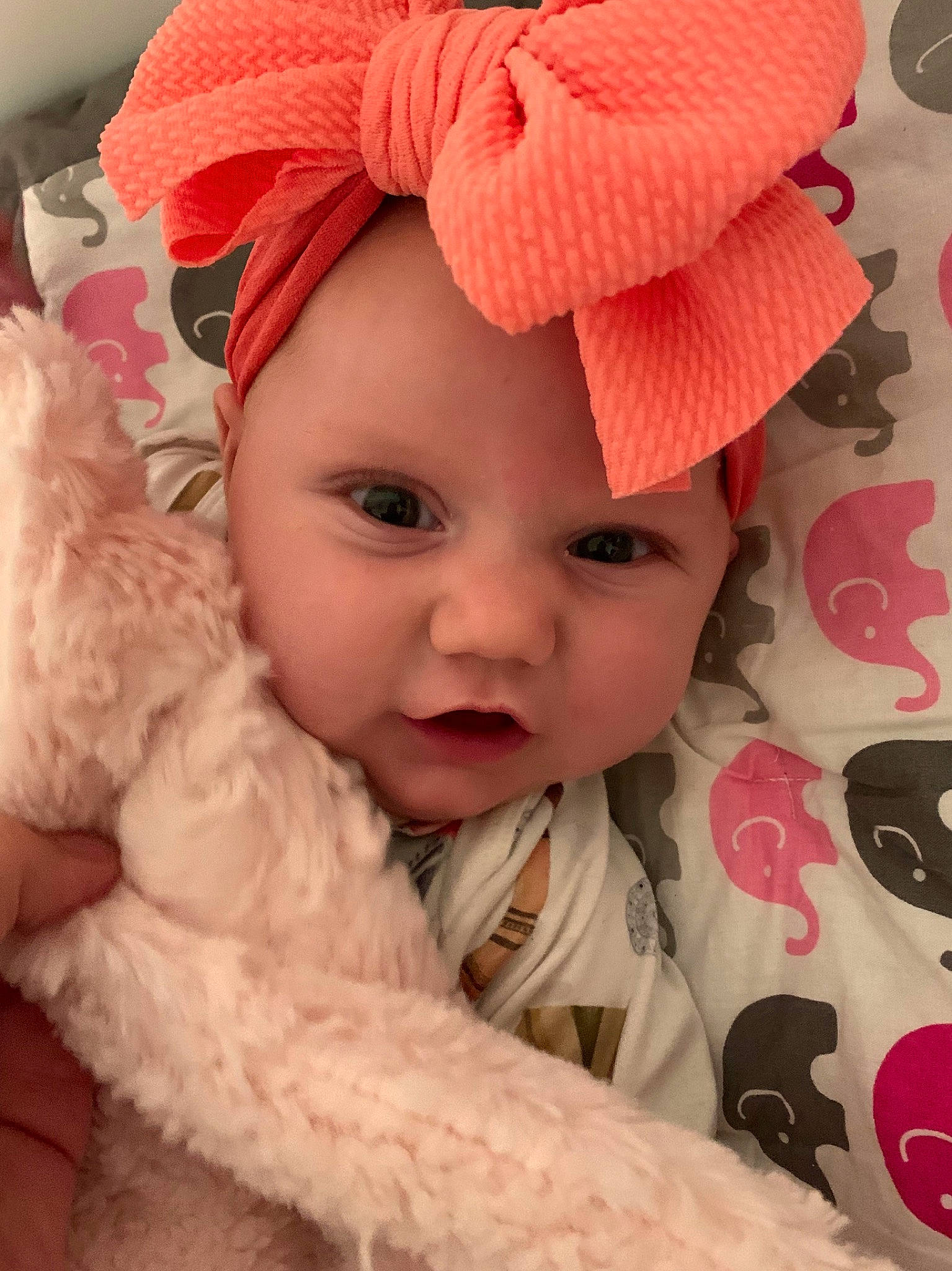 Avaleigh is registered to the contest to win money with this photo: baby, beauty, bonnet, cheek, child, clothing, eye, face, fashion_accessory, fur, hat, head, headgear, knit_cap, lip, person, pink, skin, smile, toddler