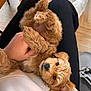 puppy, dog, brown_fur, pet, lap, hand, indoor, floor, toy, cozy, cute, animal, fur, looking_up, person, black_pants, white_shirt, relaxing, home, soft