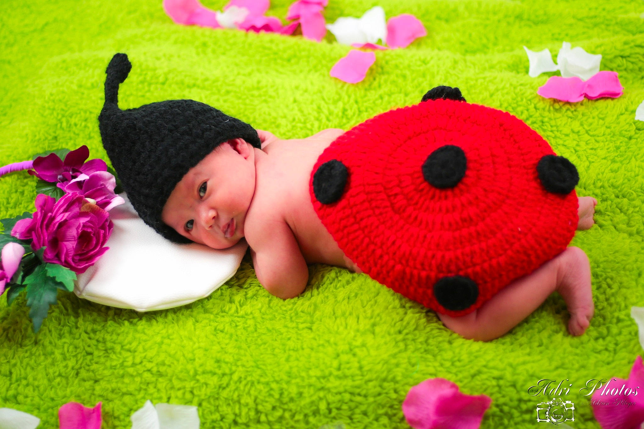 Anastasia a rejoint le concours — aidez-le/la à gagner de superbes lots ! art, baby, child, facial_expression, flower, fun, grass, green, happy, headwear, leaf, leisure, magenta, mammal, people_in_nature, person, petal, pink, plant, textile