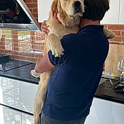 Figi participe au concours pour gagner de l'argent avec cette photo : affection, animal, brick_wall, casual_clothing, comfort, countertop, dog, domestic_scene, glass, golden_retriever, hugging, human, indoor, kitchen, love, person, pet, reflection, stove, window
