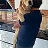 dog, golden_retriever, person, hugging, kitchen, brick_wall, countertop, stove, glass, window, reflection, casual_clothing, domestic_scene, pet, indoor, affection, animal, human, love, comfort