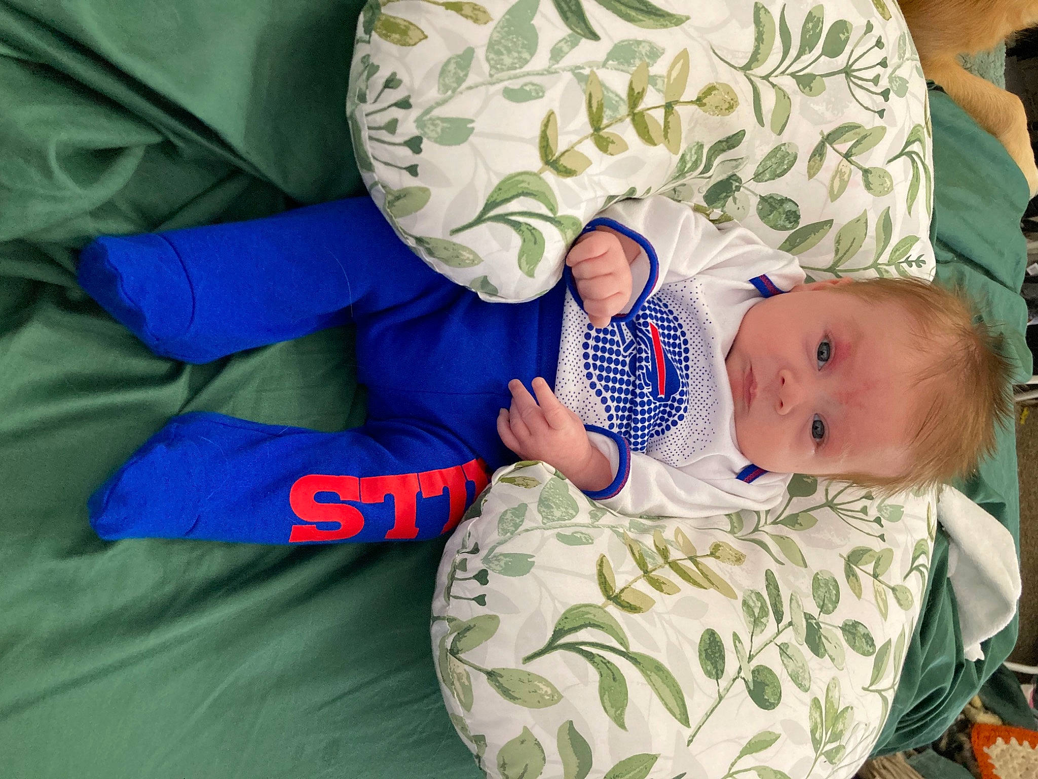 Ash is registered to the contest to win money with this photo: baby, baby_products, baby_safety, baby_sleeping, baby_toddler_clothing, bedtime, child, comfort, electric_blue, event, hand, hat, linens, nap, person, room, sitting, sleep, sleeve, textile