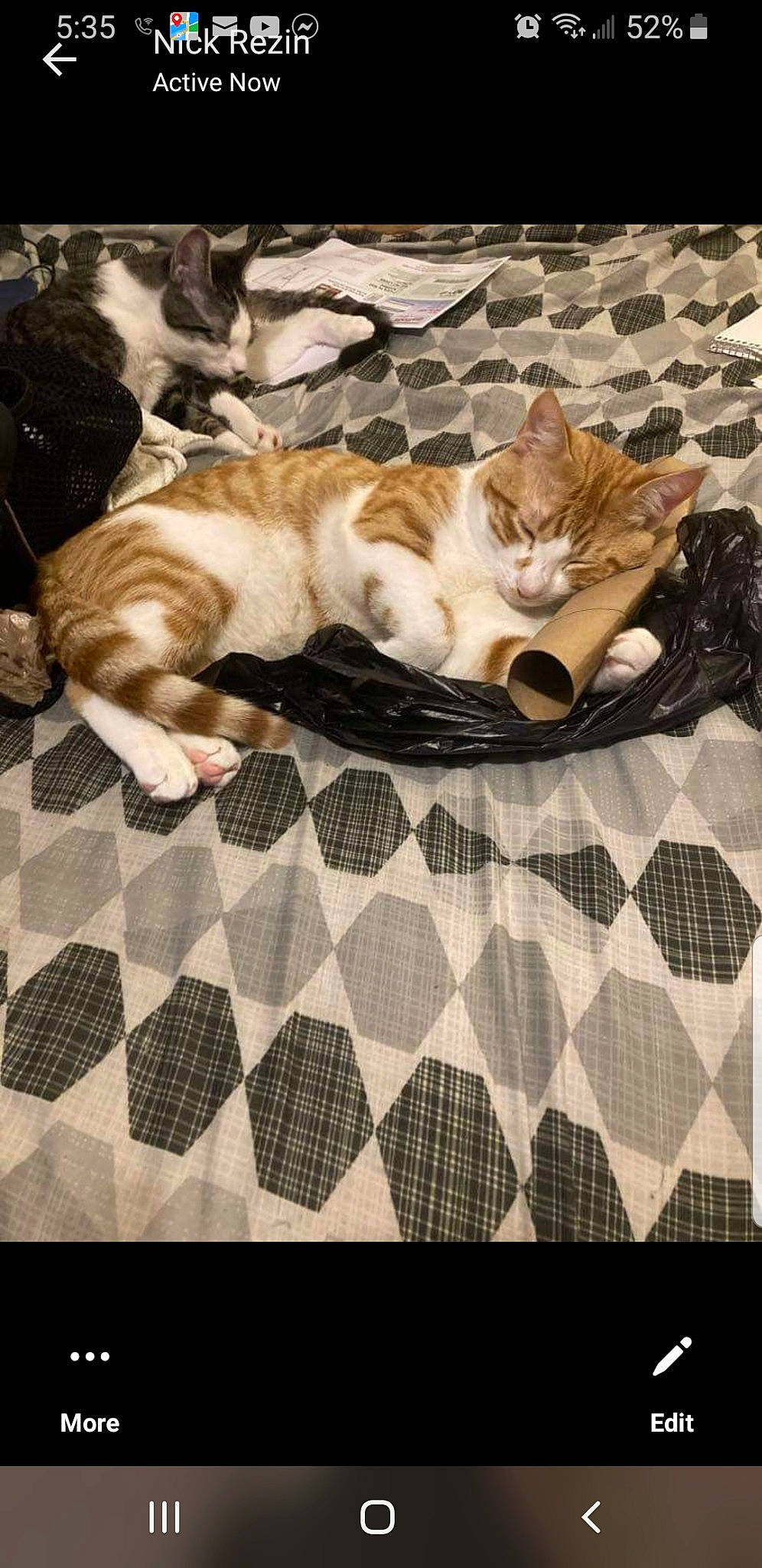 Garfield is registered to the contest to win money with this photo: bedding, carnivore, cat, comfort, domestic_short_haired_cat, fawn, felidae, flooring, fur, linens, pattern, rectangle, room, small_to_medium_sized_cats, snapshot, tail, textile, whiskers, white, wood