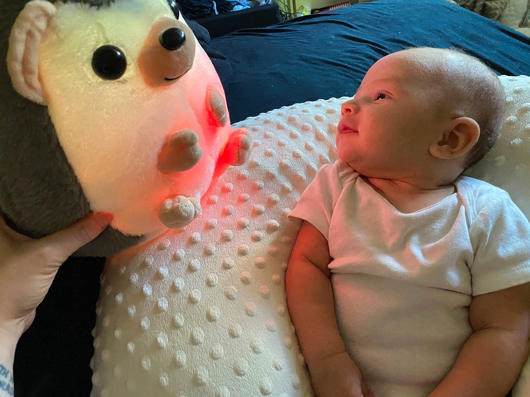 Ash joined the competition — help win amazing prizes! baby, cheek, child, ear, eye, face, head, lip, mouth, neck, nose, person, skin, toddler, toy