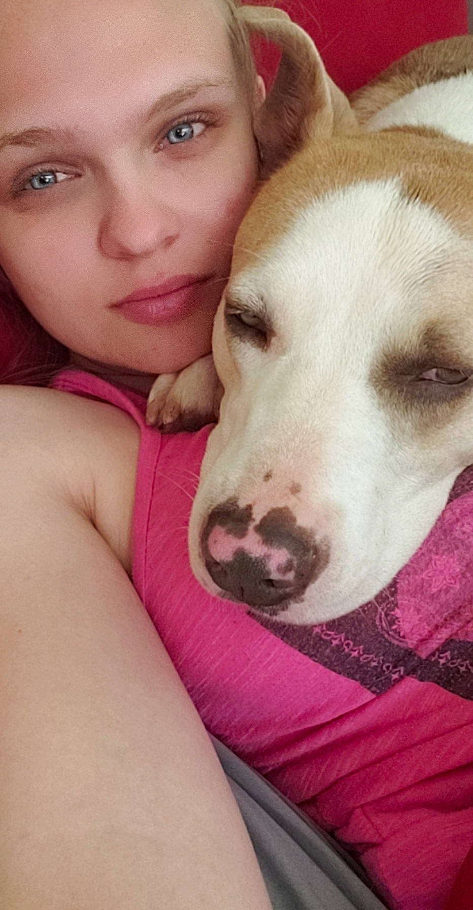 Jade joined the competition — help win amazing prizes! american_pit_bull_terrier, canidae, carnivore, companion_dog, dog, dog_breed, fawn, head, mammal, non_sporting_group, nose, pit_bull, puppy, puppy_love, selfie, skin, snout