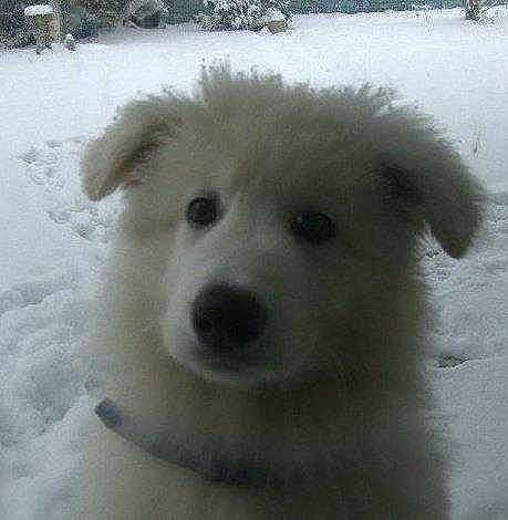 Dexywoo joined the competition — help win amazing prizes!