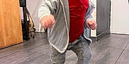 Liam participe au concours pour gagner de l'argent avec cette photo : toddler, child, indoor, floor, motion_blur, red_shirt, grey_hoodie, sneakers, happy, walking, cat, tile_floor, furniture, door, vacuum_cleaner, person, home, curious_cat, young_child, playful