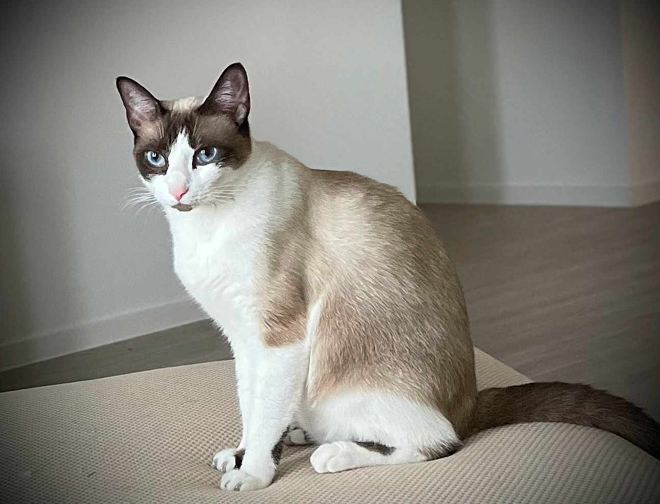 Fiona