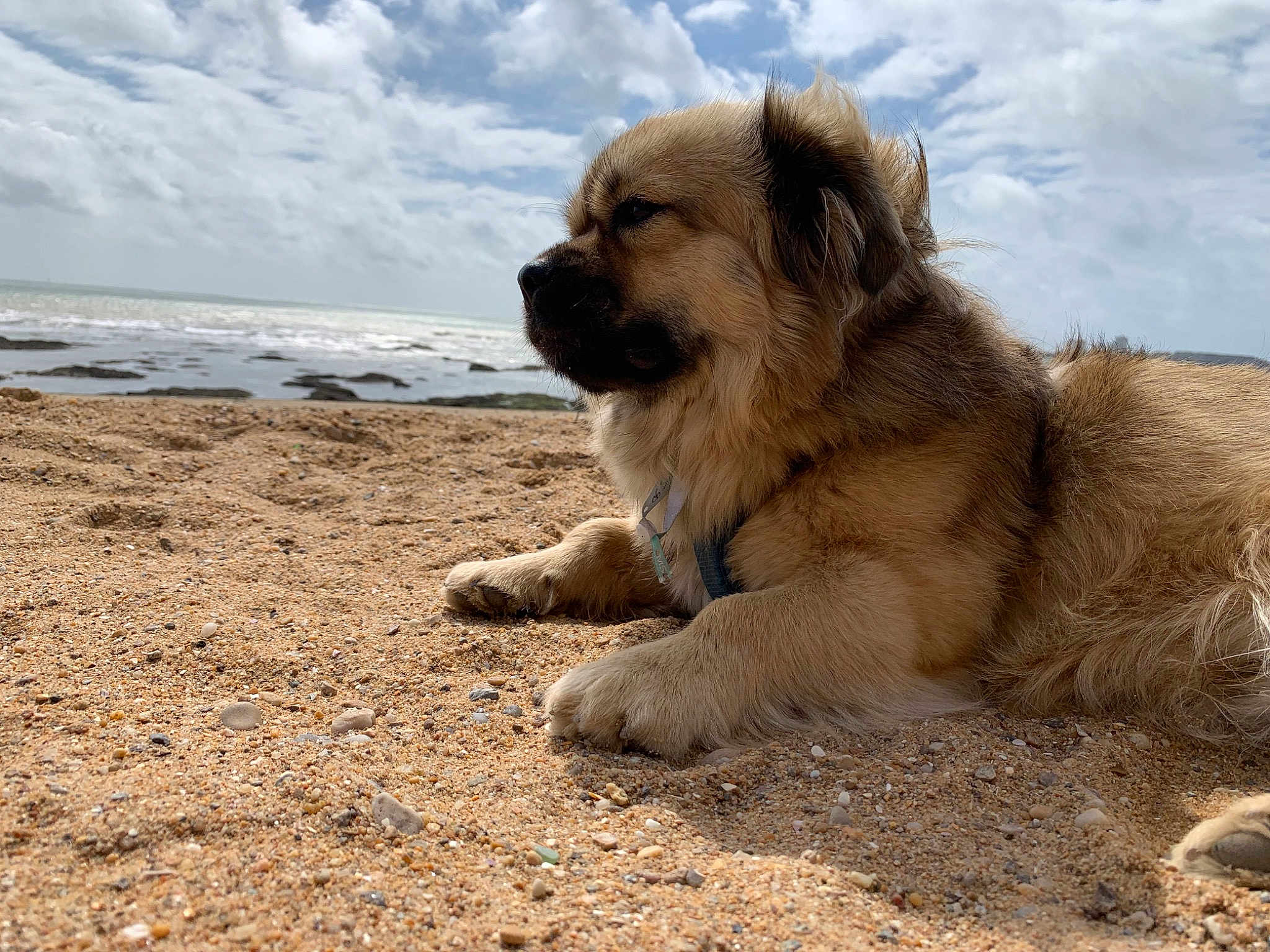 Roméo