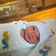 Echo is registered to the contest to win money with this photo: newborn, baby, swaddled, blanket, duck_pattern, hospital, bassinet, hat, striped_hat, face, infant, bed, hospital_room, patient, wrapped, cute, sleeping_area, closeup, portrait, child