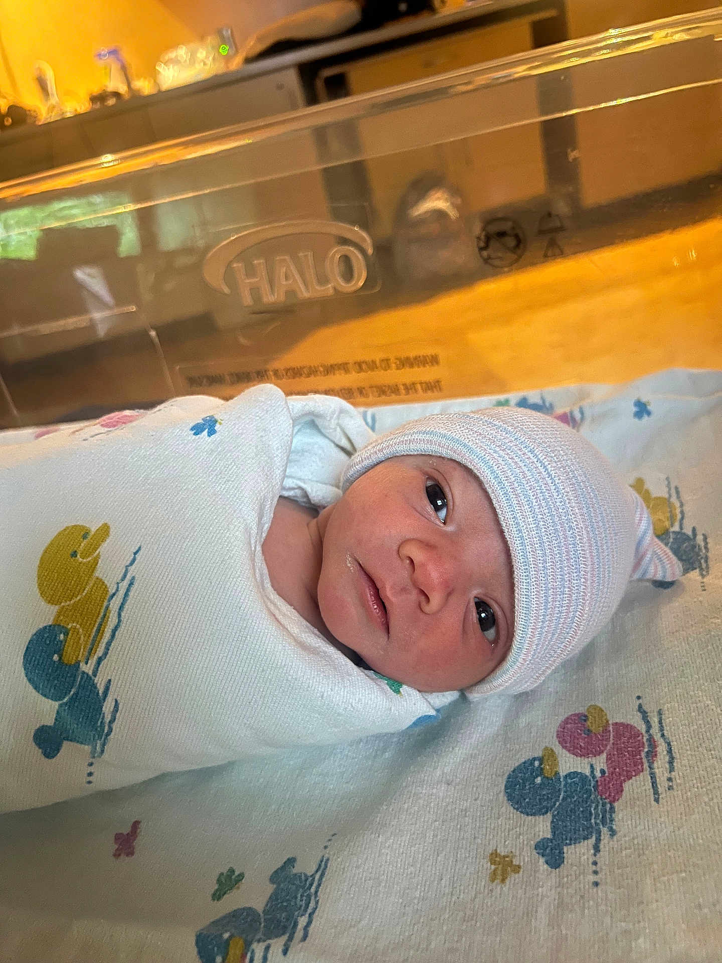 Echo is registered to the contest to win money with this photo: newborn, baby, swaddled, blanket, duck_pattern, hospital, bassinet, hat, striped_hat, face, infant, bed, hospital_room, patient, wrapped, cute, sleeping_area, closeup, portrait, child