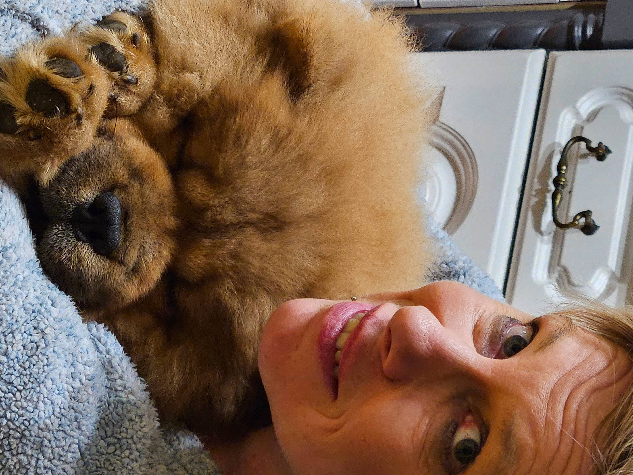 Tasco a rejoint le concours — aidez-le/la à gagner de superbes lots ! big_cats, carnivore, companion_dog, dog, dog_breed, ear, eyelash, fawn, felidae, gesture, kitchen_appliance, nose, paw, selfie, skin, small_to_medium_sized_cats, snout, sunglasses, terrestrial_animal, whiskers