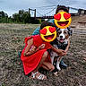 dog, australian_shepherd, child, adult, family, outdoor, park, bridge, grass, portrait, sitting, kneeling, red_dress, sandals, dog_harness, leash, smiling, emoji_face, trees, cloudy_sky