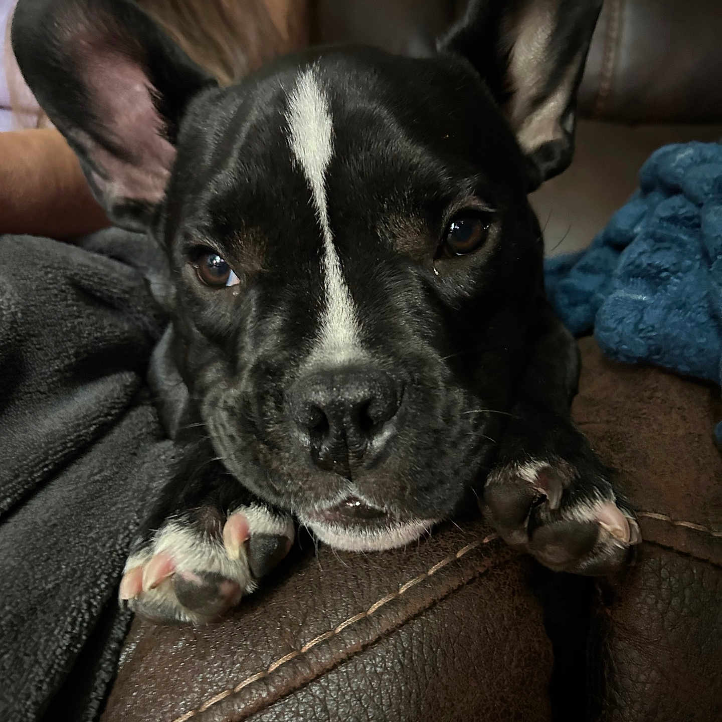 Rosco