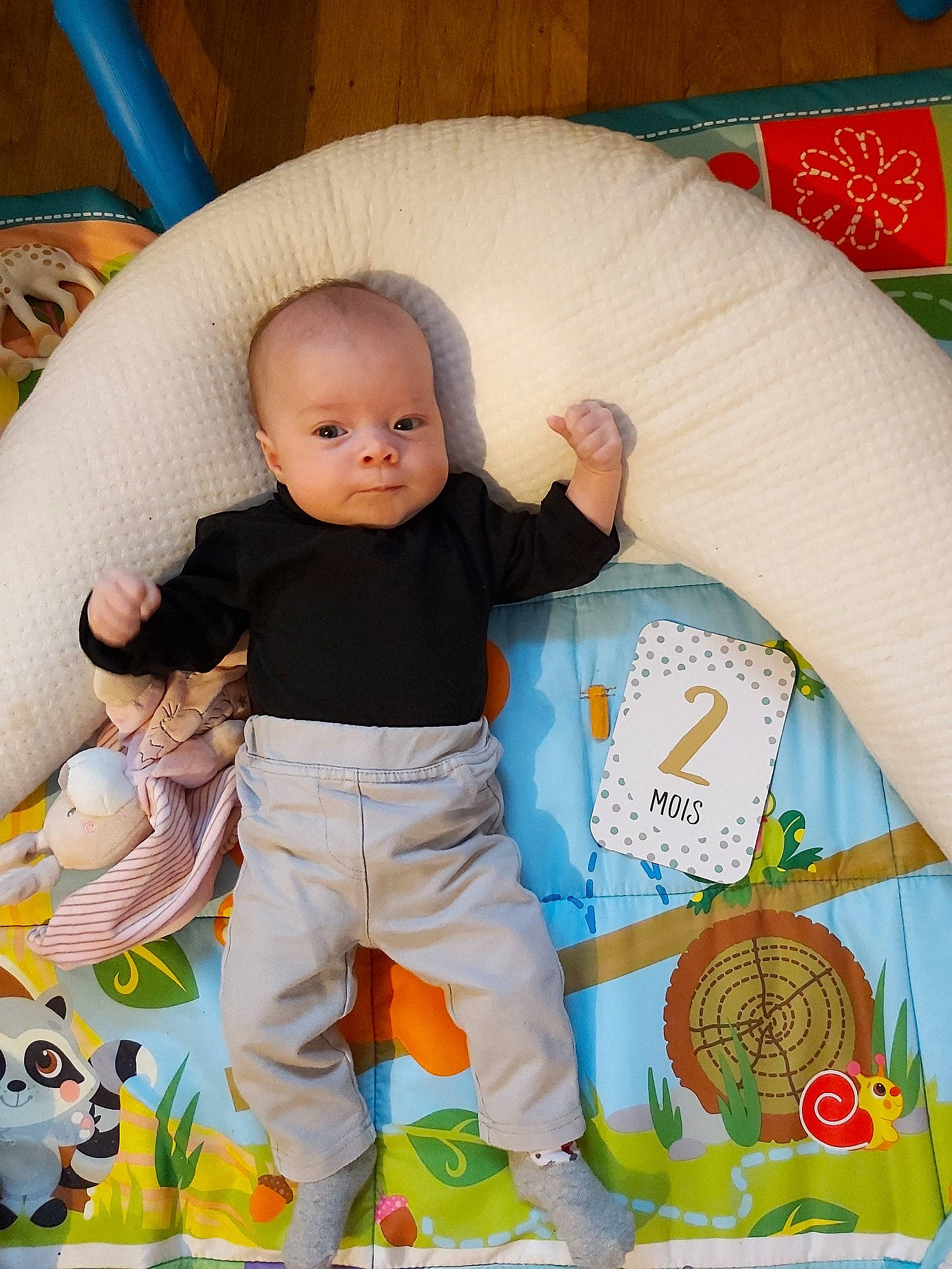 Elina participe au concours pour gagner de l'argent avec cette photo : baby, child, person, play, product, sitting, skin, toddler, toy