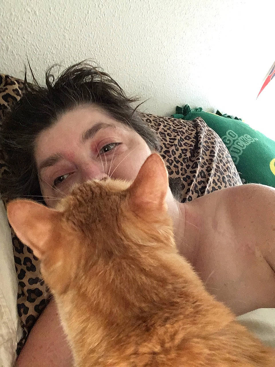 Garfield joined the competition — help win amazing prizes! beard, carnivore, cat, facial_hair, fawn, felidae, fur, hair, person, selfie, snout, whiskers