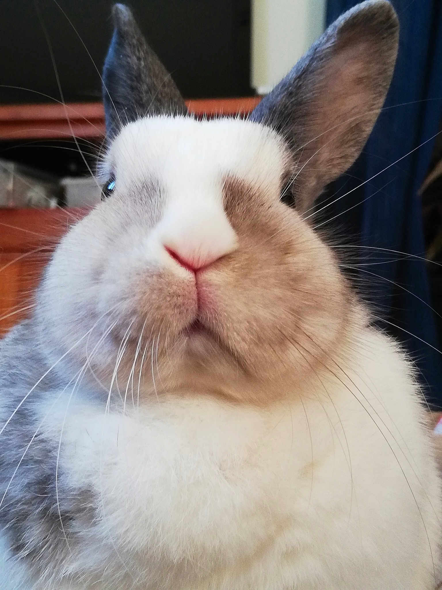 Betty