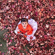 Kylie Giannis joined the competition — help win amazing prizes! baby, child, autumn, leaves, orange_clothing, blanket, grass, outdoor, fall, nature, cute, curly_hair, sitting, seasonal, young_child, portrait, leaf_litter, headband, expression, playful