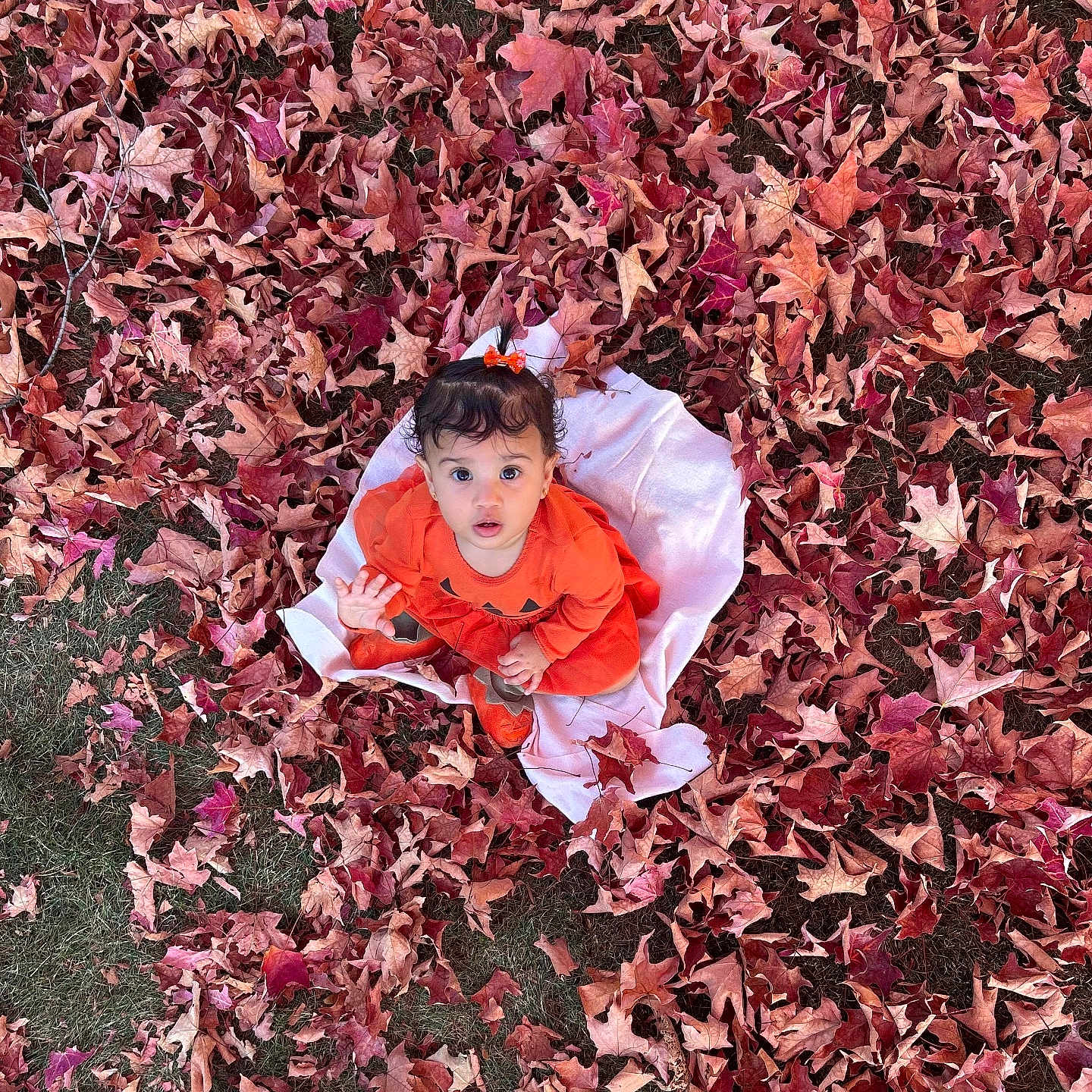 Kylie Giannis joined the competition — help win amazing prizes! autumn, baby, blanket, child, curly_hair, cute, expression, fall, grass, headband, leaf_litter, leaves, nature, orange_clothing, outdoor, playful, portrait, seasonal, sitting, young_child