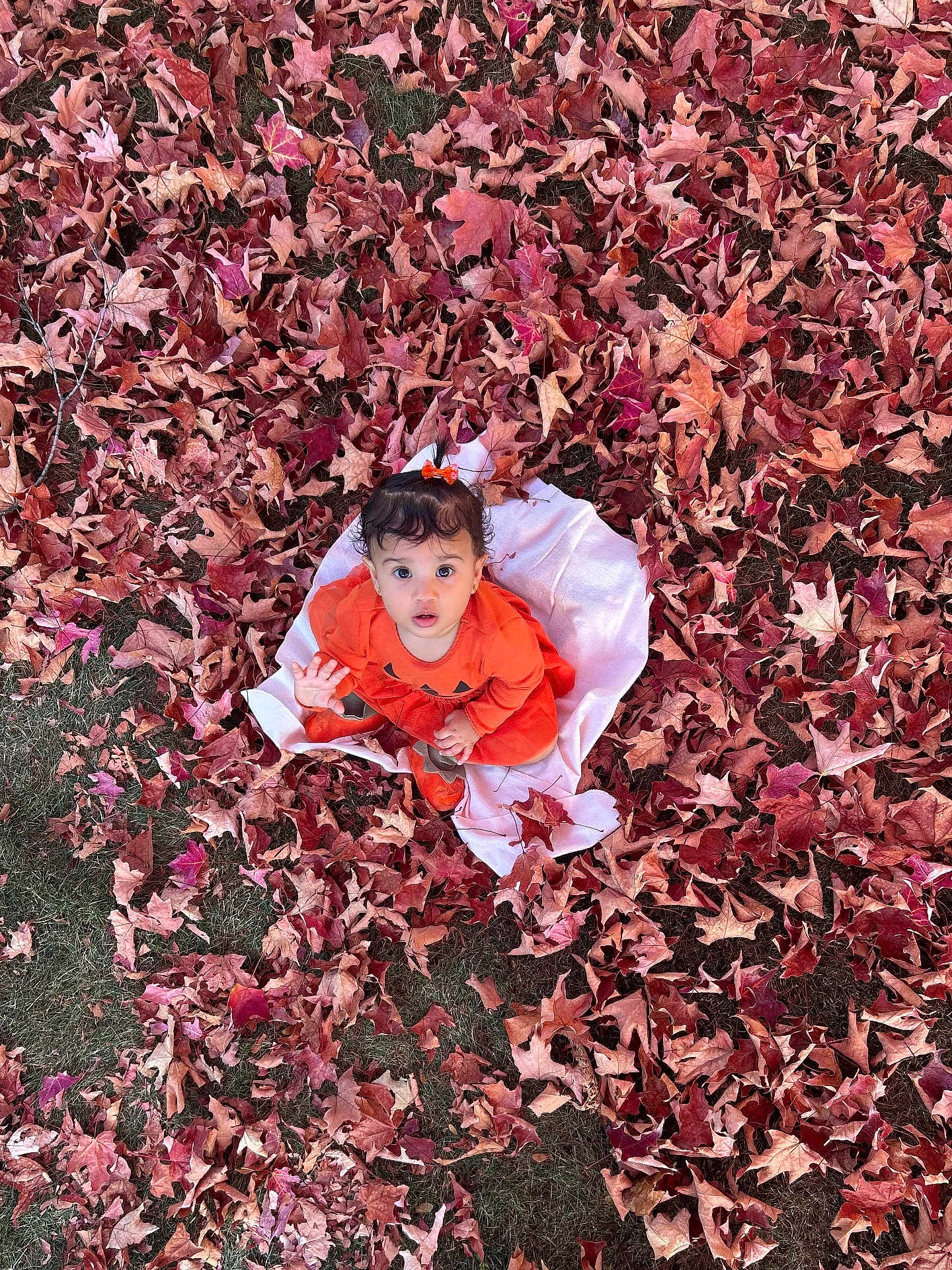 Kylie Giannis joined the competition — help win amazing prizes! baby, child, autumn, leaves, orange_clothing, blanket, grass, outdoor, fall, nature, cute, curly_hair, sitting, seasonal, young_child, portrait, leaf_litter, headband, expression, playful