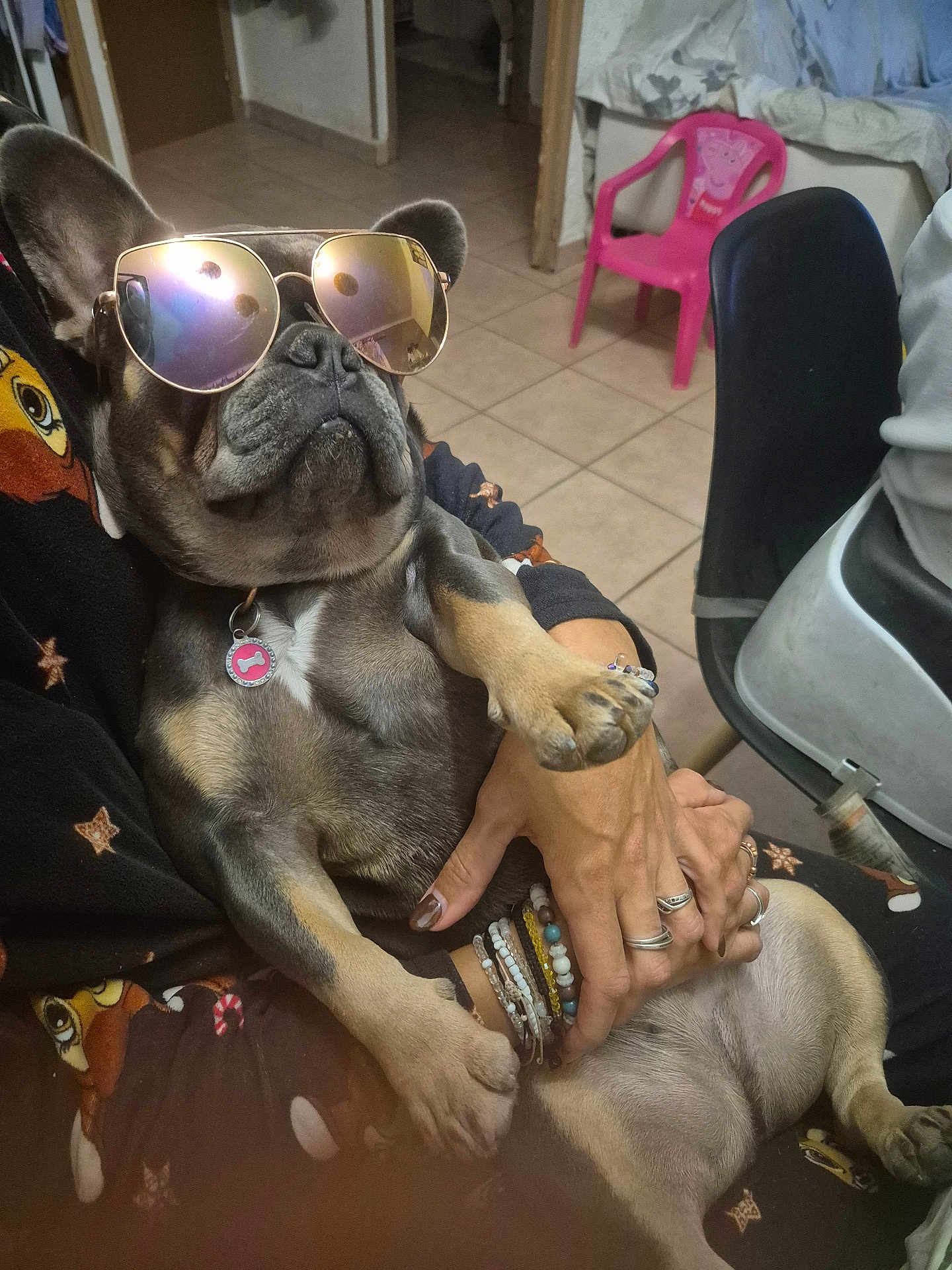 Vanille a rejoint le concours — aidez-le/la à gagner de superbes lots ! dog, french_bulldog, sunglasses, pet, animal, indoor, person, hand, bracelet, ring, floor, chair, pink_chair, tile_floor, collar, tag, relaxed, cute, funny, portrait