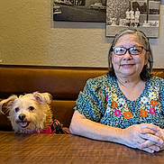 Bella joined the competition — help win amazing prizes! dog, person, woman, portrait, indoors, restaurant, booth, table, wood, glasses, smiling, seated, pet, companion, floral_shirt, vintage_photos, wall, cozy, dinner, photography