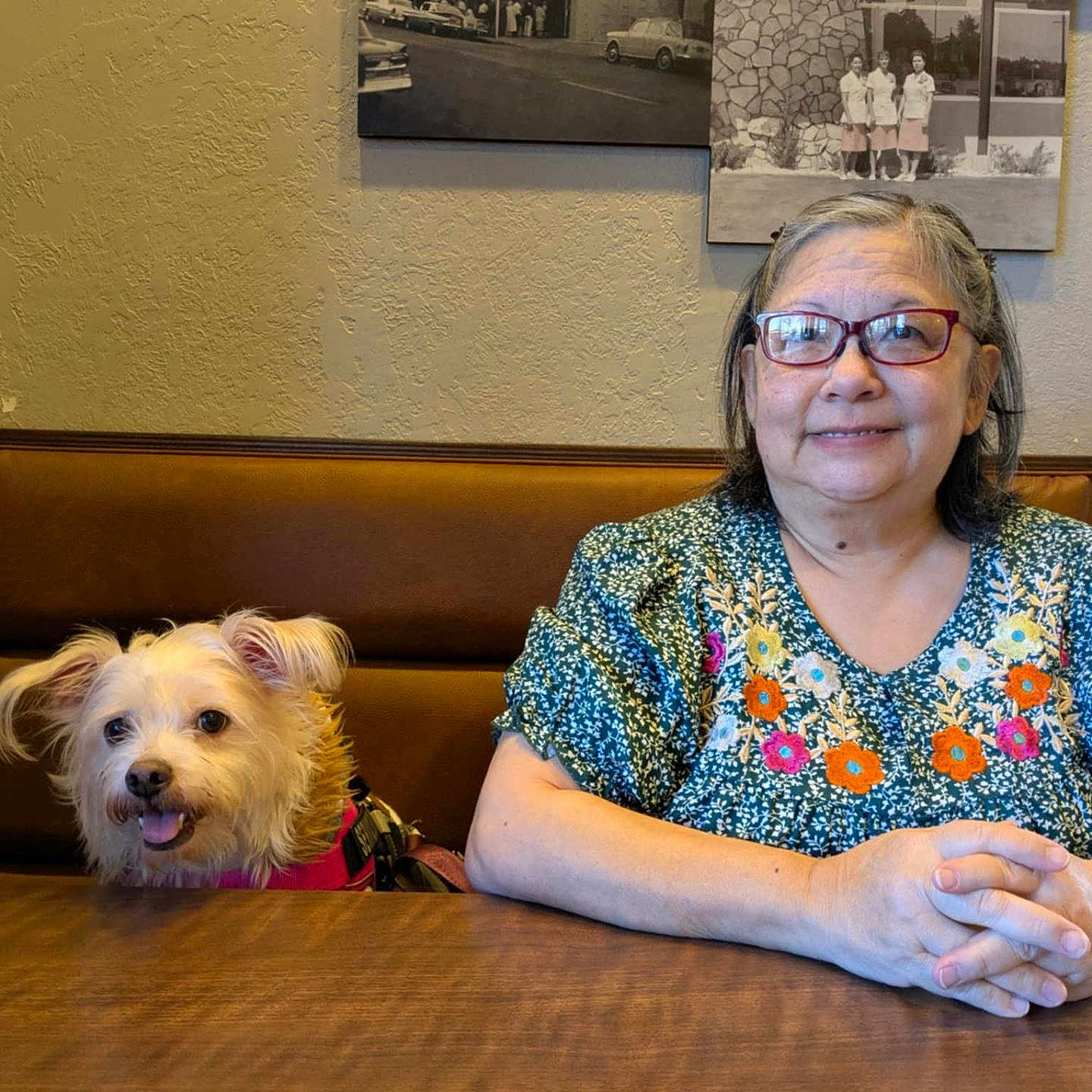 Bella joined the competition — help win amazing prizes! dog, person, woman, portrait, indoors, restaurant, booth, table, wood, glasses, smiling, seated, pet, companion, floral_shirt, vintage_photos, wall, cozy, dinner, photography