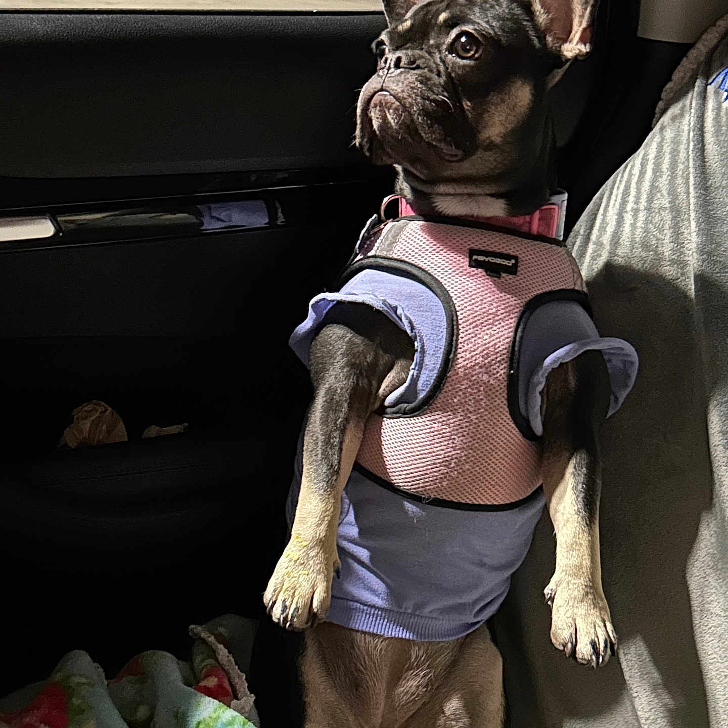Zadee Mae