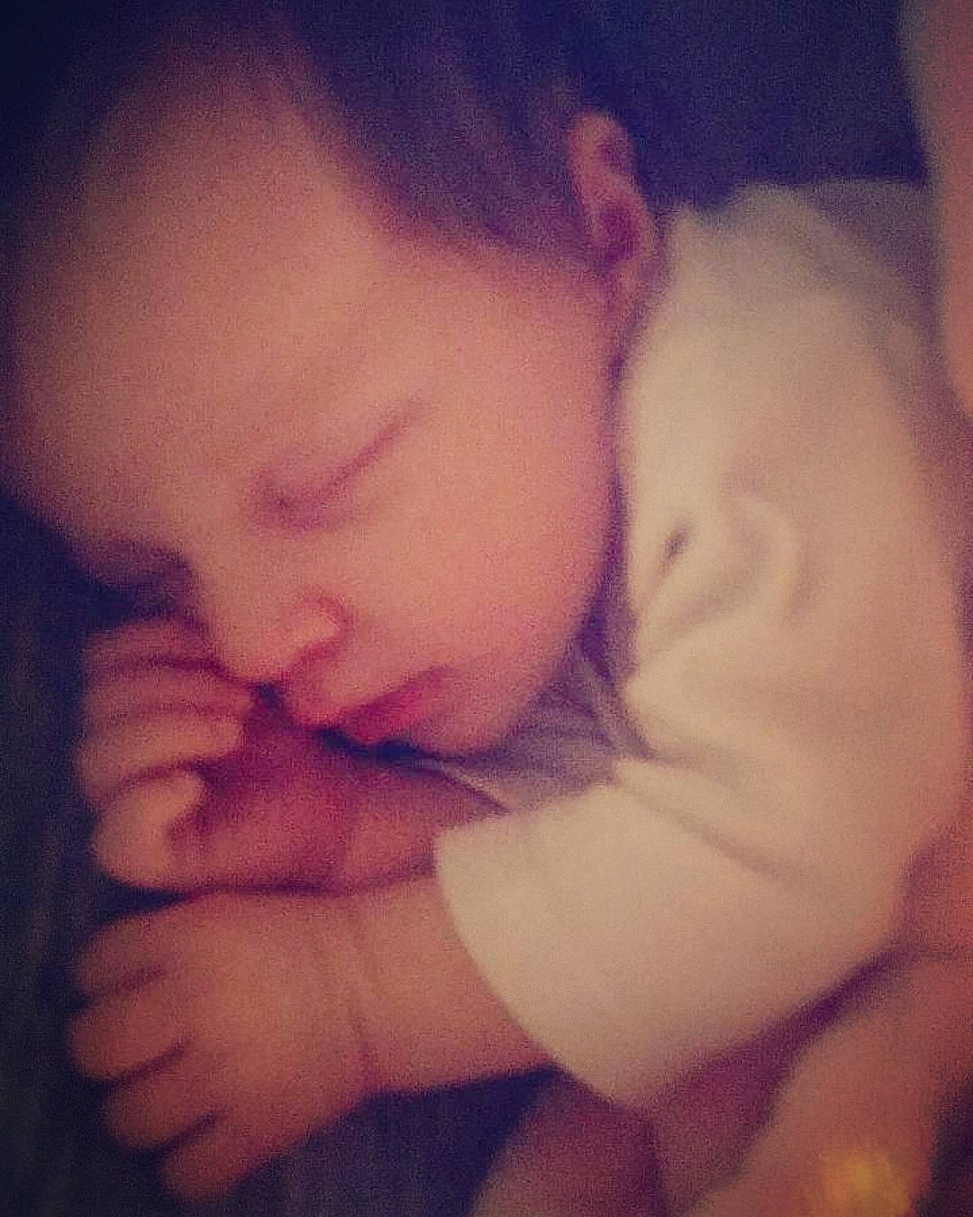 Maizie is registered to the contest to win money with this photo: arm, baby, beauty, bedtime, cheek, child, eye, face, forehead, hand, head, lip, mouth, muscle, nap, nose, person, skin, sky, sleep