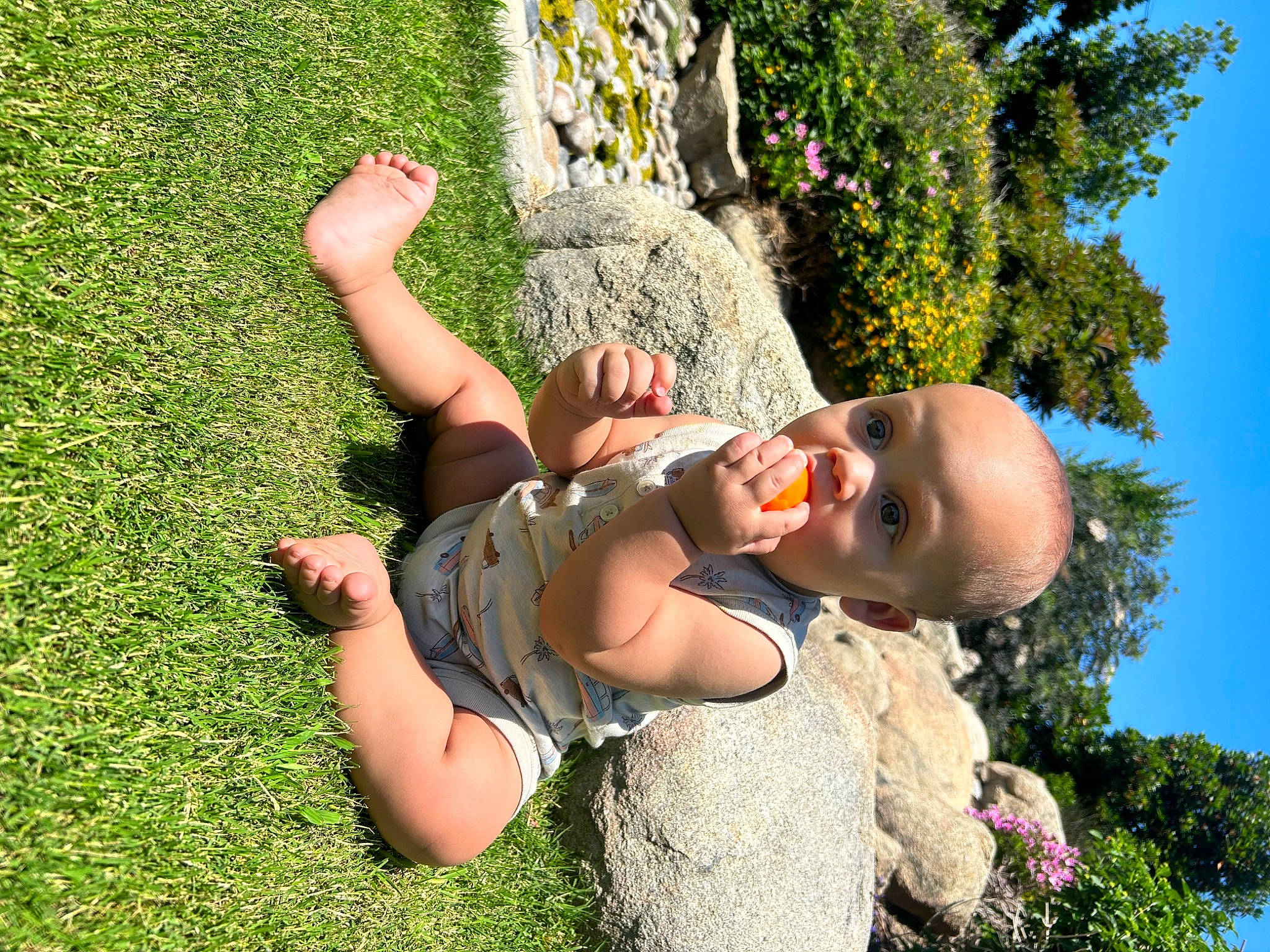 Thomas joined the competition — help win amazing prizes! fun, gesture, grass, grassland, happy, human_leg, lawn, leaf, leisure, meadow, nature, people_in_nature, person, plant, recreation, shrub, sky, sunlight, thigh, toddler