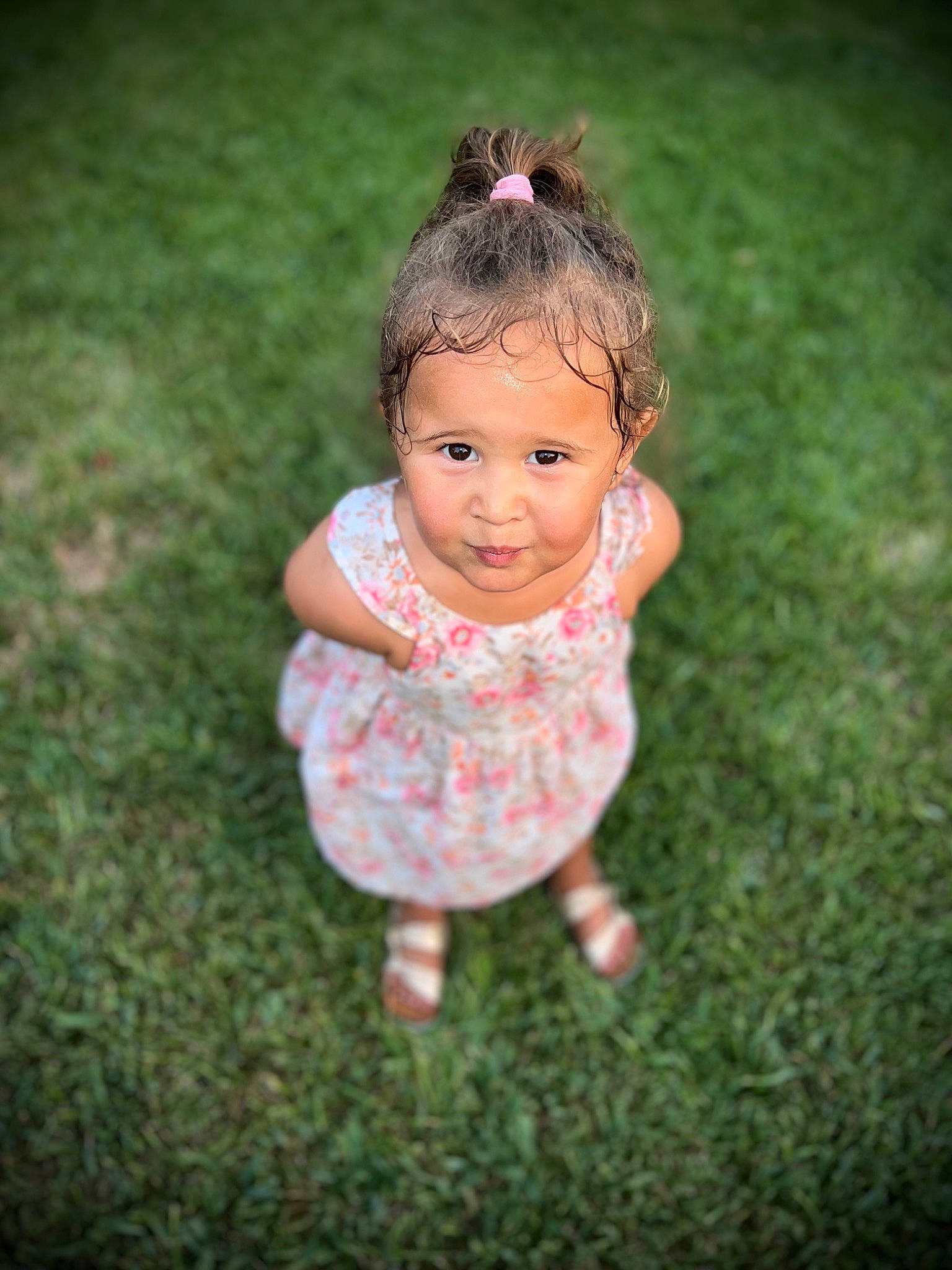 Astraea is registered to the contest to win money with this photo: baby, baby_toddler_clothing, dress, face, flash_photography, fun, gesture, grass, grass_family, grassland, happy, lawn, leisure, magenta, people_in_nature, person, plant, recreation, sitting, toddler