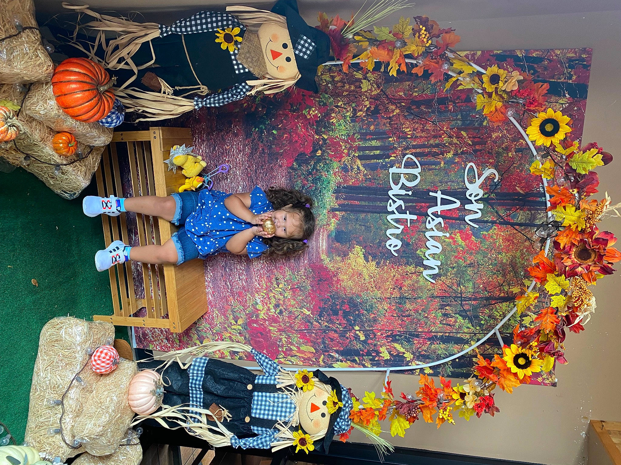 Astraea is registered to the contest to win money with this photo: art, artist, collection, floral_design, flower, font, graphic_design, graphics, pattern, person, photograph, room, snapshot, space, textile, visual_arts, world