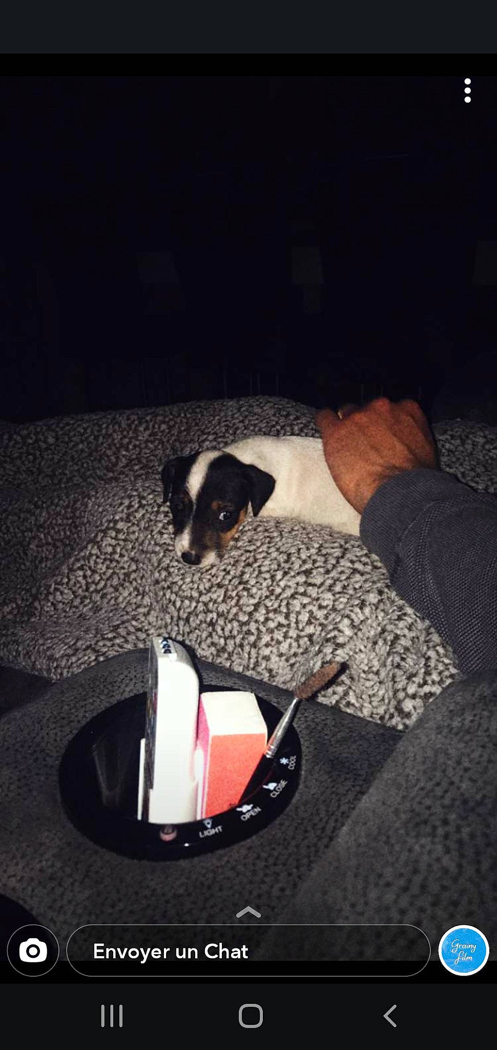 Black a rejoint le concours — aidez-le/la à gagner de superbes lots ! canidae, carnivore, danish_swedish_farmdog, dog, dog_breed, fox_terrier, rat_terrier, smooth_fox_terrier, table, toy_fox_terrier