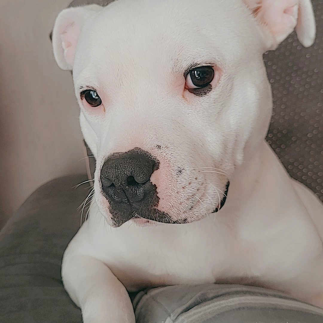 Tyson