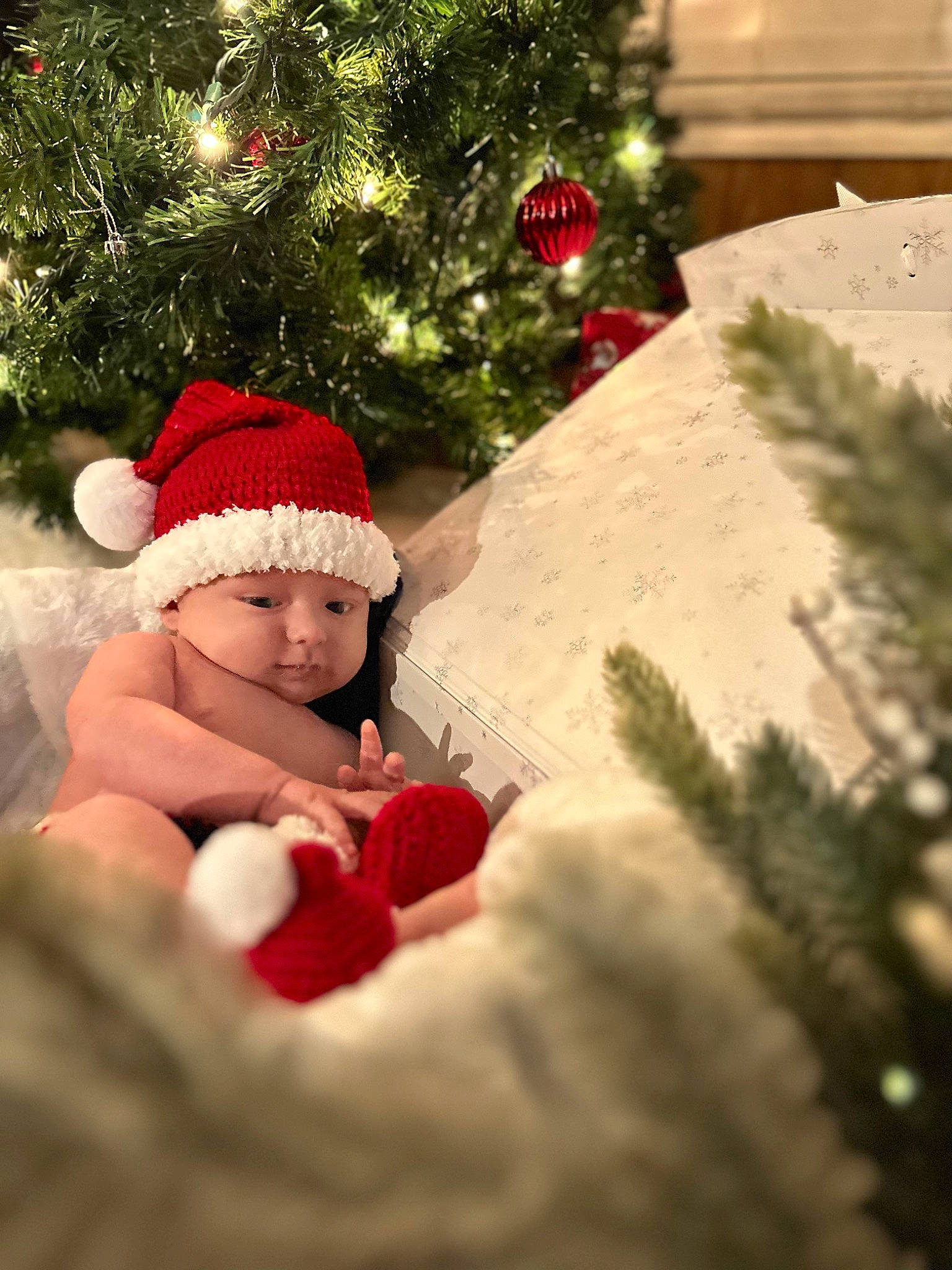 Brodie is registered to the contest to win money with this photo: baby, cap, christmas, christmas_decoration, christmas_eve, christmas_ornament, christmas_tree, conifer, event, evergreen, fictional_character, grass, happy, headwear, holiday, light, ornament, person, plant, snow