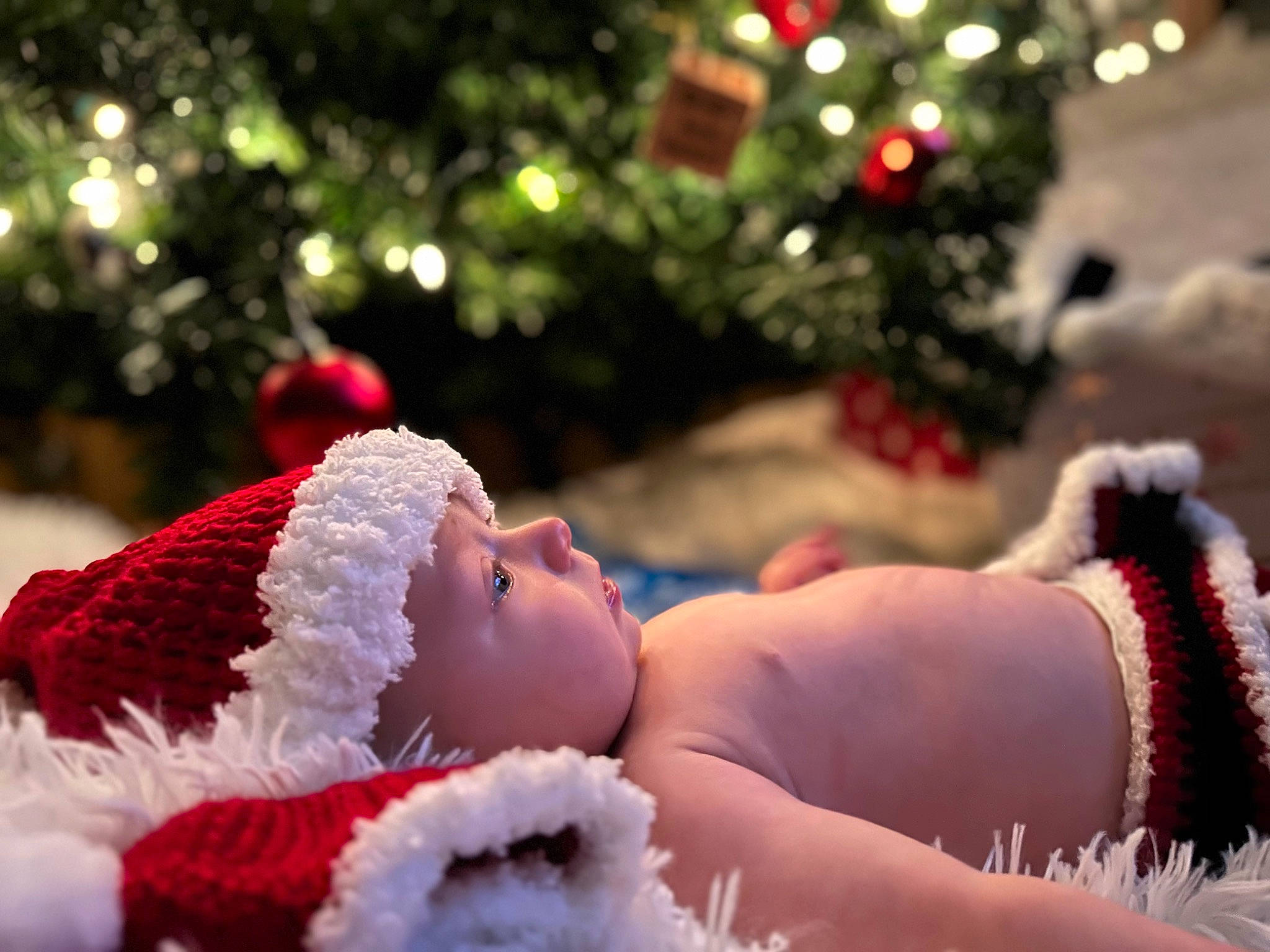 Brodie joined the competition — help win amazing prizes! christmas, christmas_decoration, christmas_ornament, christmas_tree, conifer, event, flash_photography, freezing, fun, fur, grass, happy, headwear, holiday, light, ornament, person, plant, sky, snow