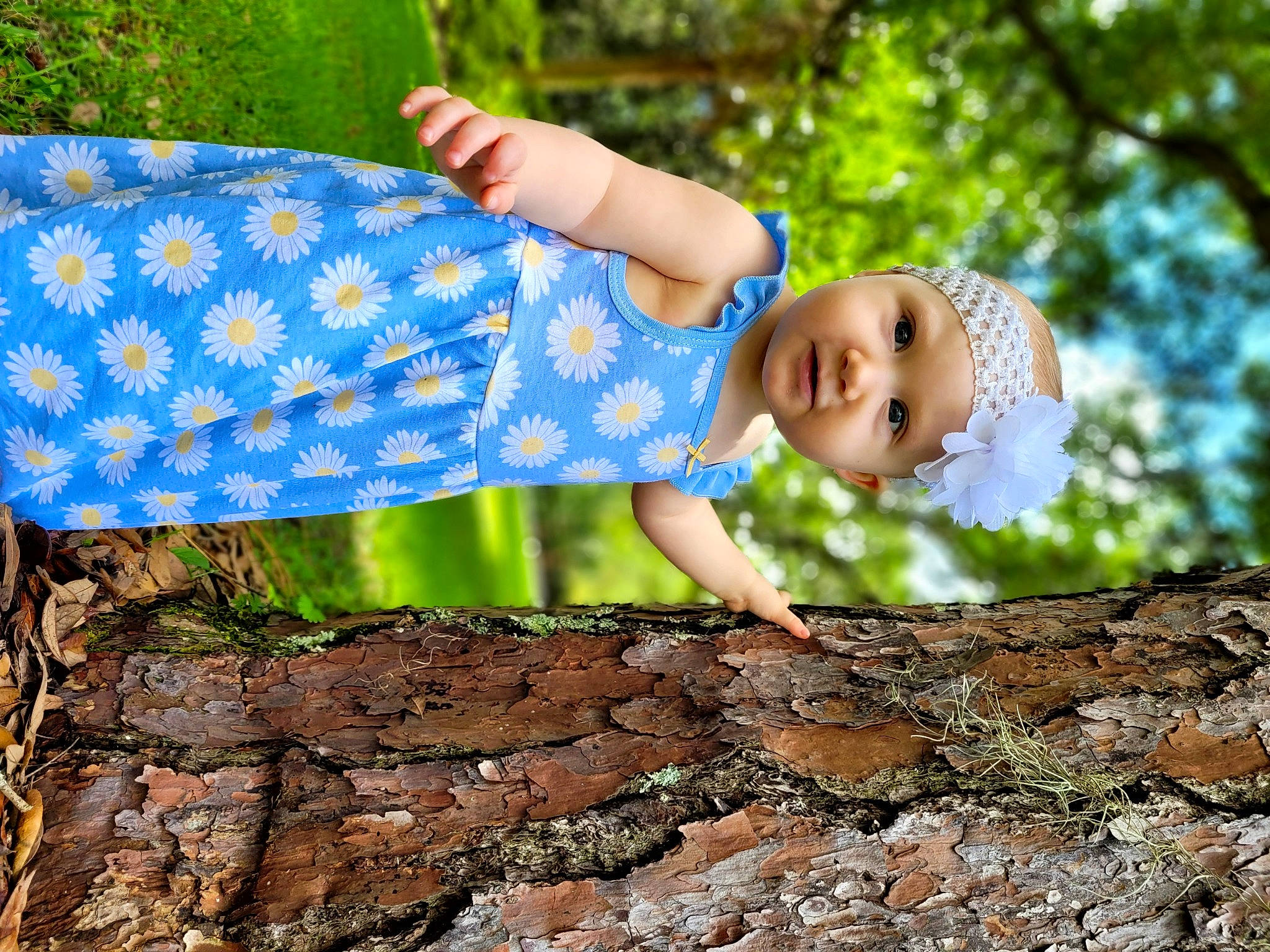 Trinity joined the competition — help win amazing prizes! baby, baby_toddler_clothing, child, dress, electric_blue, forest, fun, grass, happy, headwear, landscape, leisure, natural_environment, people_in_nature, person, plant, sitting, summer, sunlight, toddler