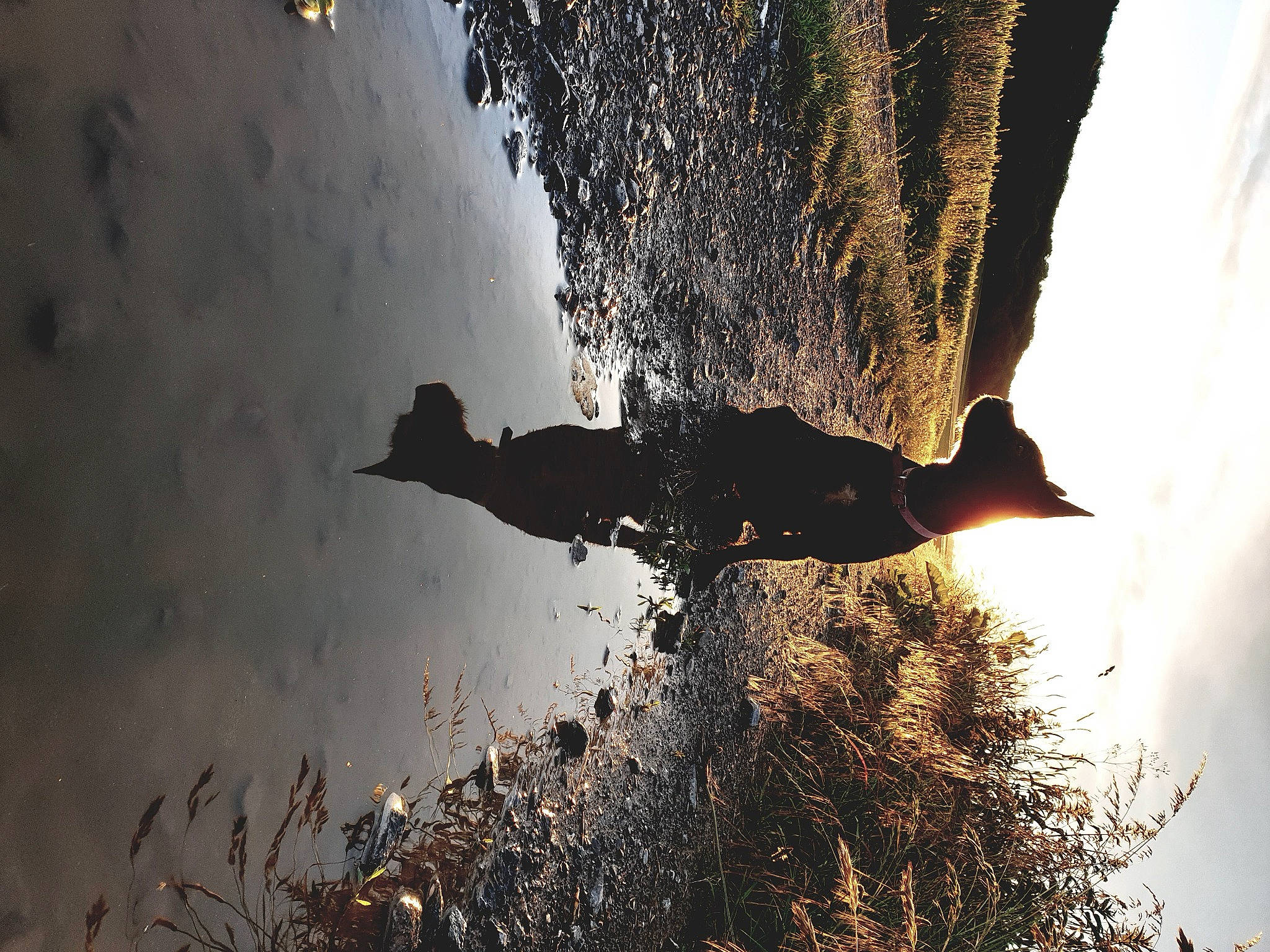 Lolita participe au concours pour gagner de l'argent avec cette photo : atmosphere, atmospheric_phenomenon, backlighting, darkness, freezing, monochrome_photography, people_in_nature, plant, reflection, rock, shadow, sky, soil, tints_and_shades, tree, trunk, twig, water, winter, wood