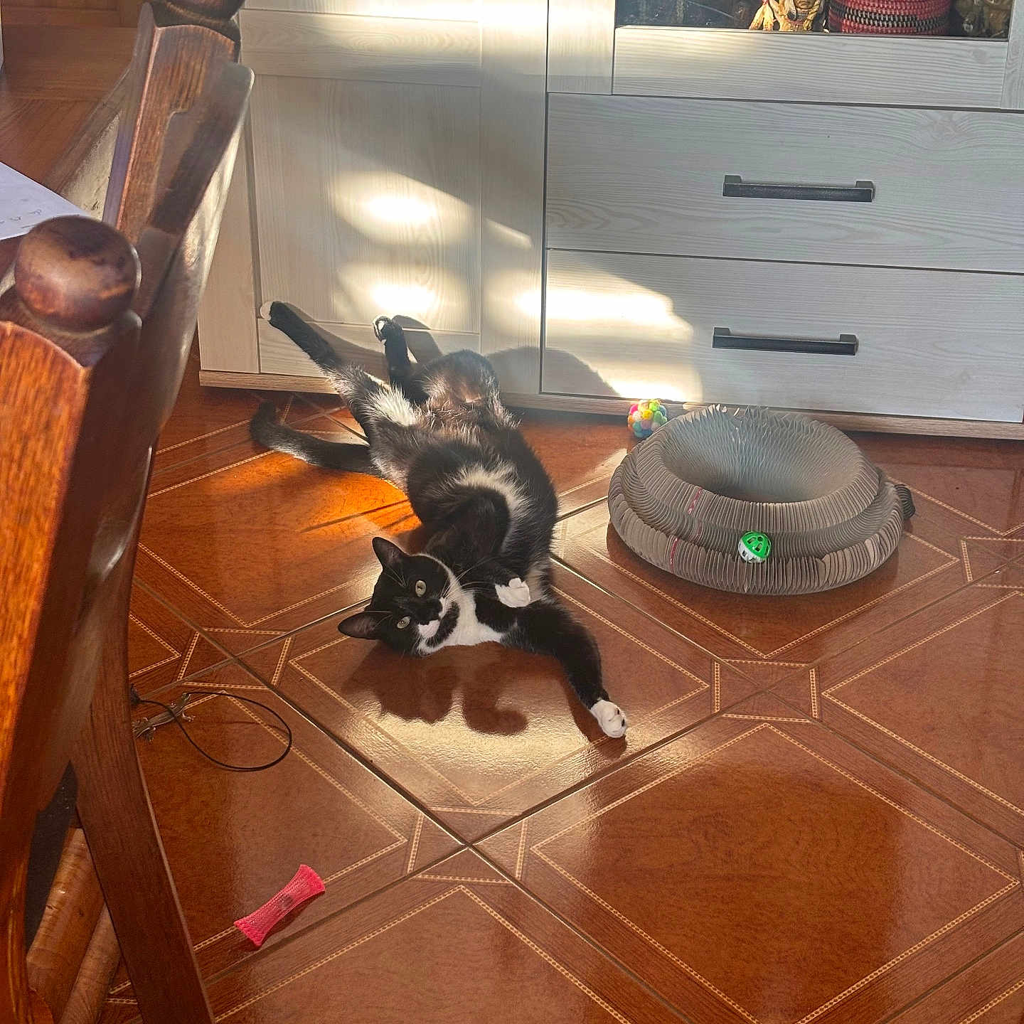 Ratatouille