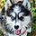 Yuki