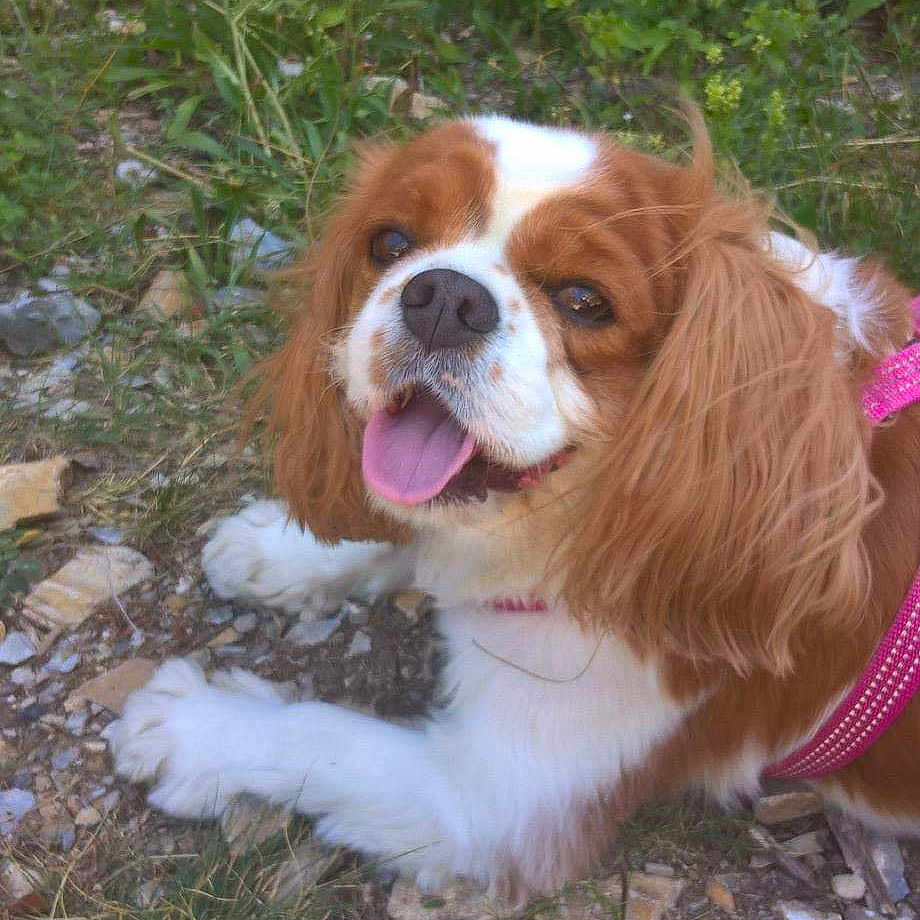 Zoe