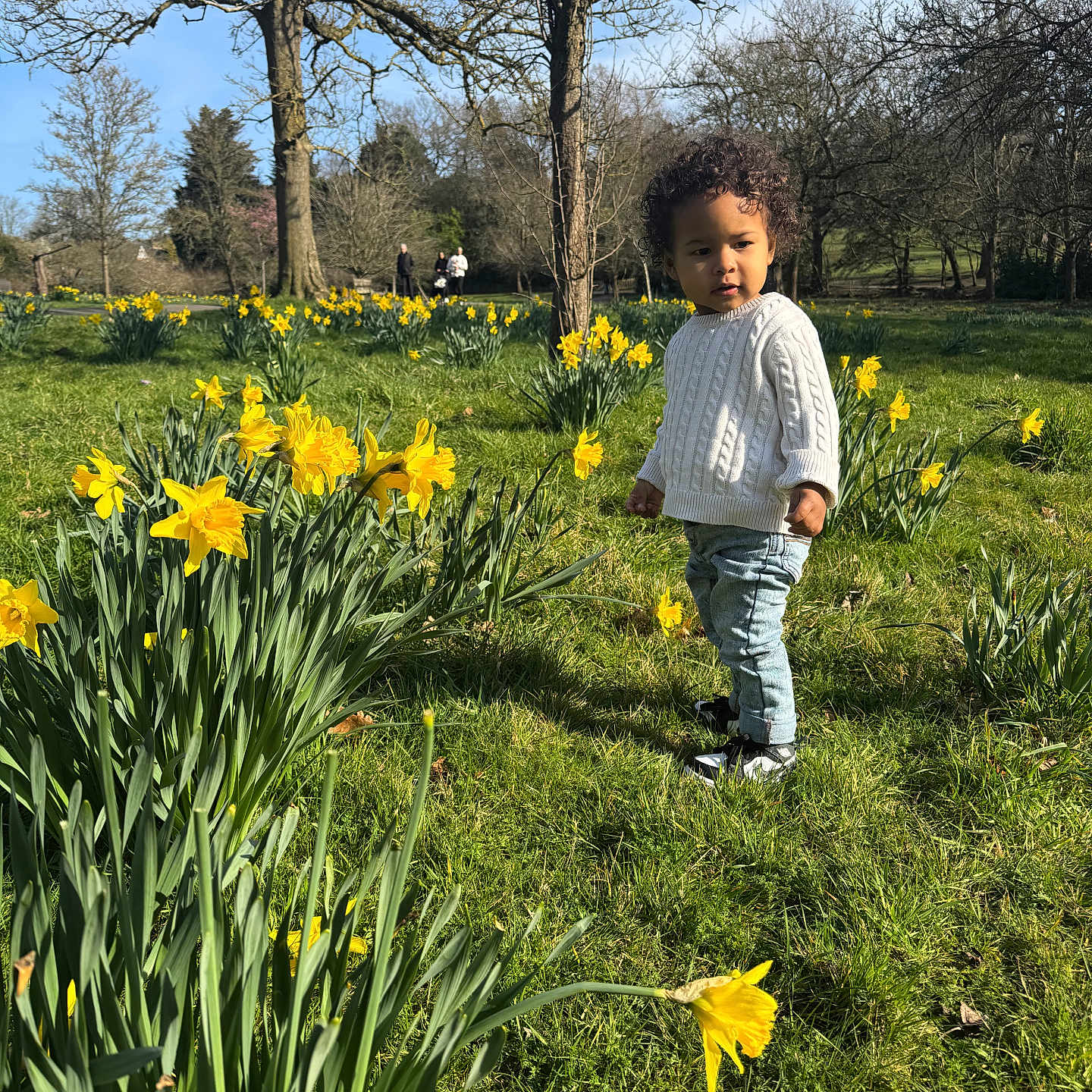 Syre joined the competition — help win amazing prizes! boy, child, clothing, daffodil, field, flower, footwear, grass, grassland, jeans, knitwear, male, nature, outdoors, pants, person, plant, shoe, sweater, tree
