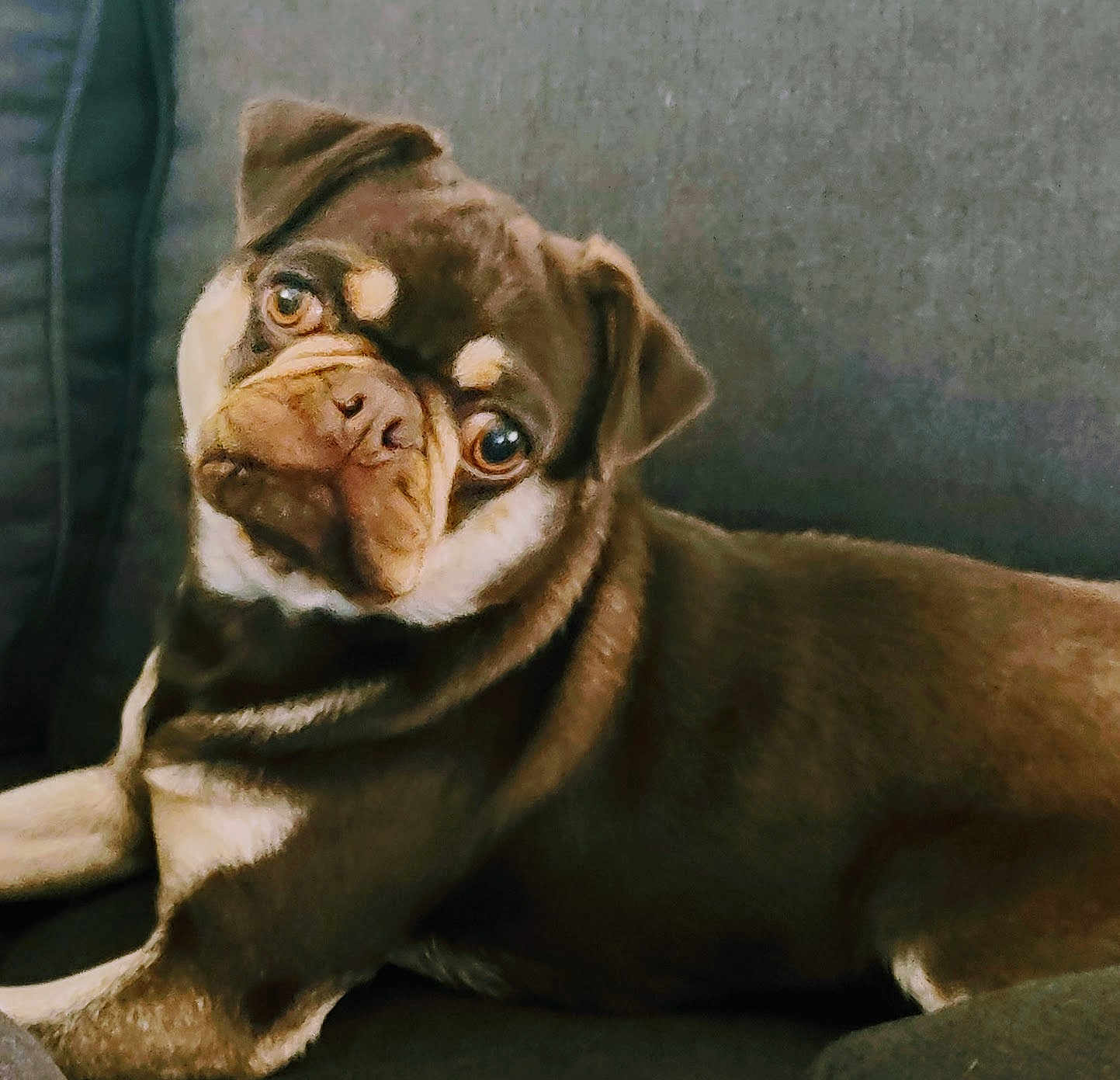 Mugsy