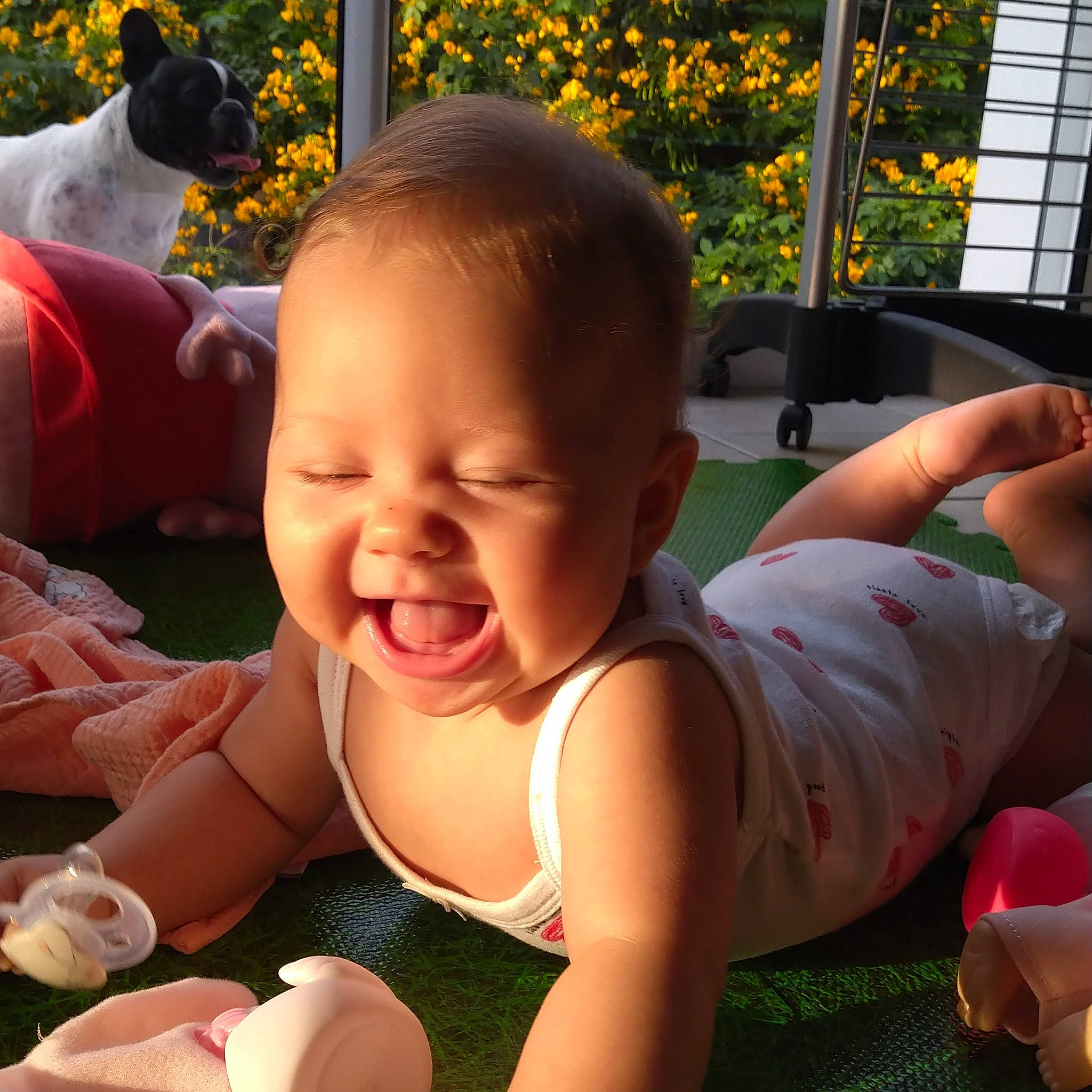 Hind participe au concours pour gagner de l'argent avec cette photo : arm, baby, baby_toddler_clothing, cheek, eye, facial_expression, flower, green, hand, happy, head, human_body, mammal, mouth, organ, person, photograph, plant, skin, smile