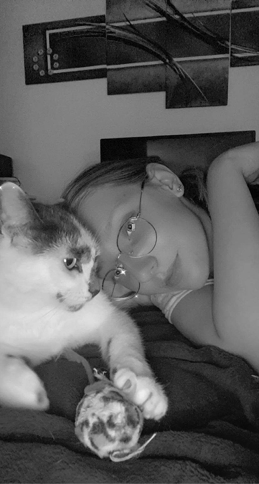 Guizmo participe au concours pour gagner de l'argent avec cette photo : black, black_and_white, carnivore, cat, comfort, felidae, gesture, happy, monochrome, monochrome_photography, organ, photograph, sitting, small_to_medium_sized_cats, snapshot, style, trunk, vertebrate, whiskers, white